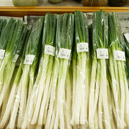 長ねぎ