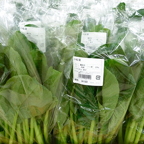 小松菜