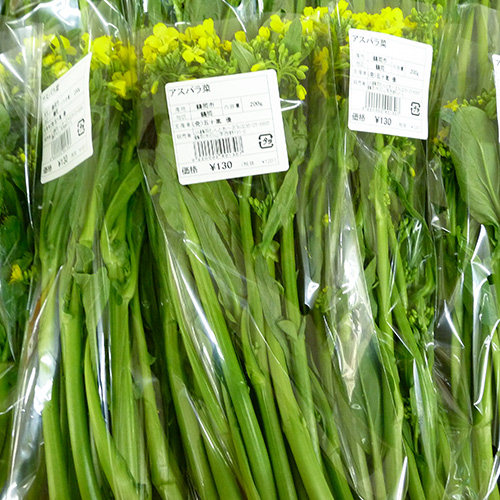 アスパラ菜