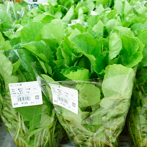 大根葉