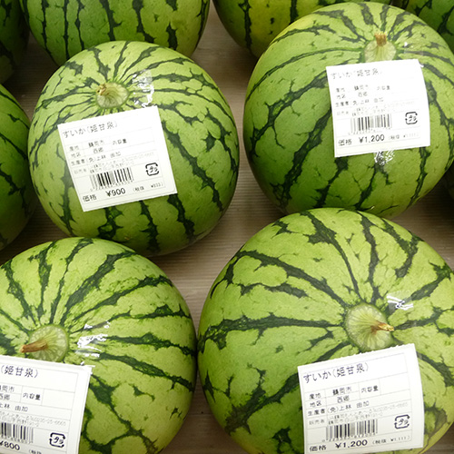 小玉すいか