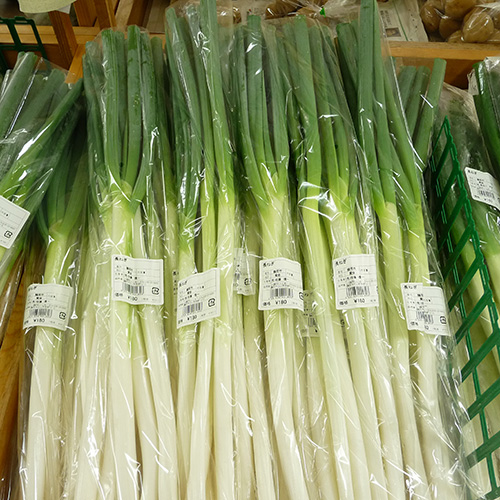 長ねぎ
