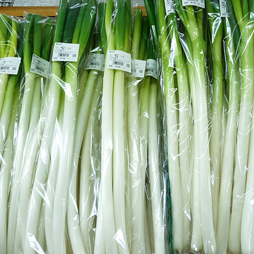 長ねぎ