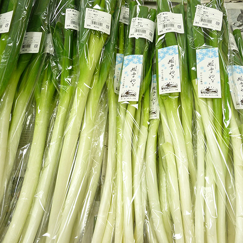 軟白ねぎ