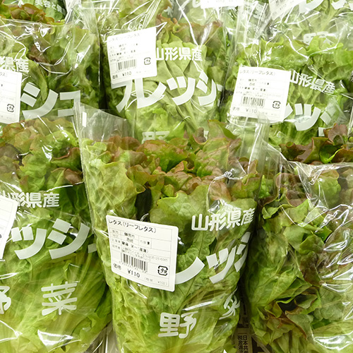 リーフレタス
