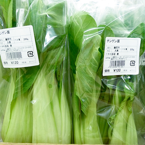 チンゲン菜