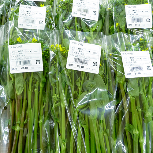 アスパラ菜