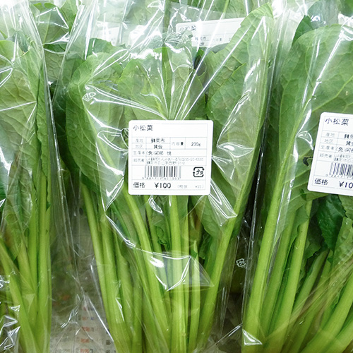 小松菜