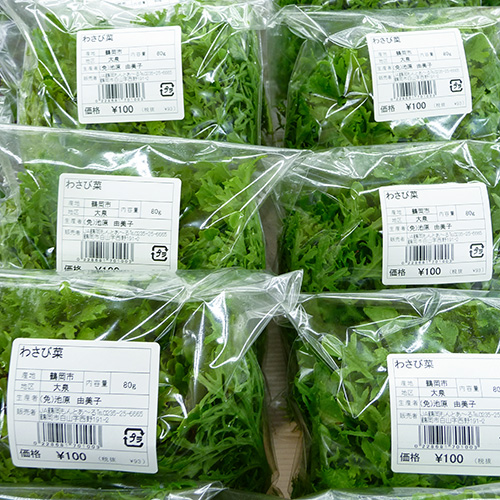 わさび菜